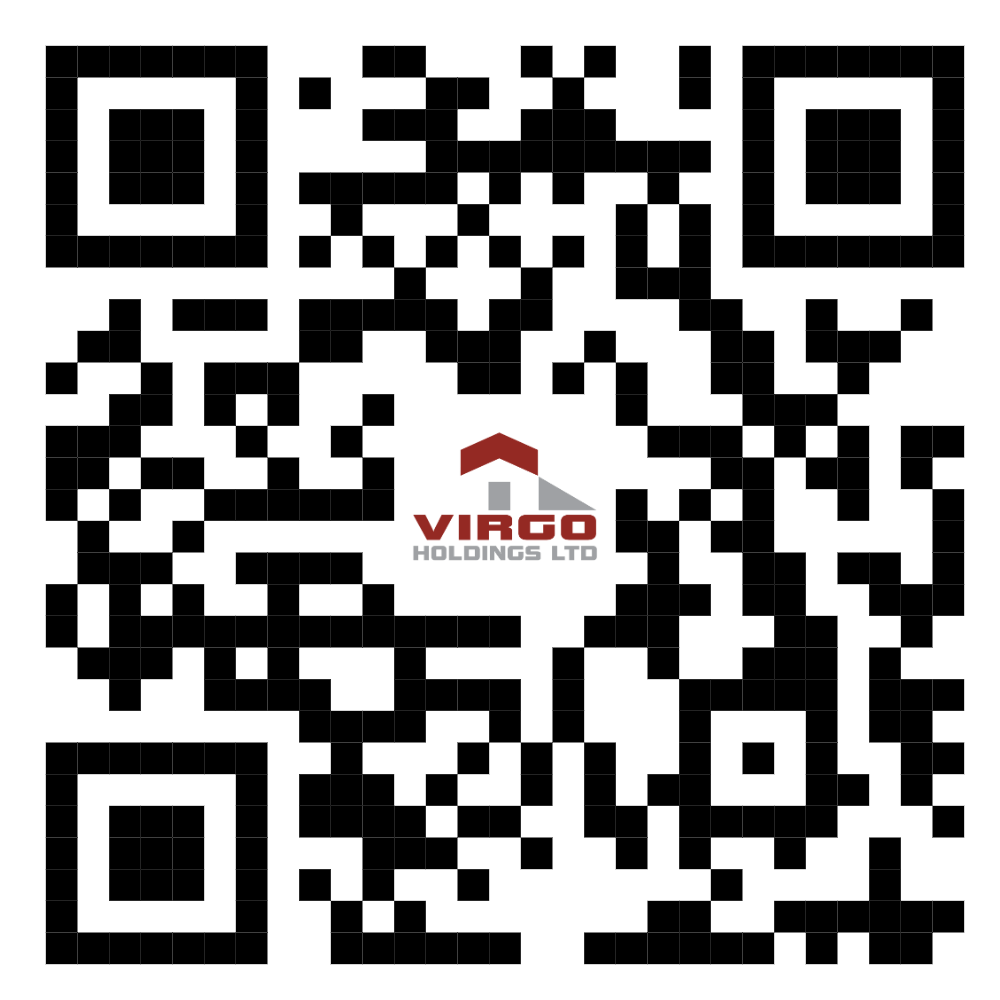 VIRGO HOLDINGS LTD CO PROFILE